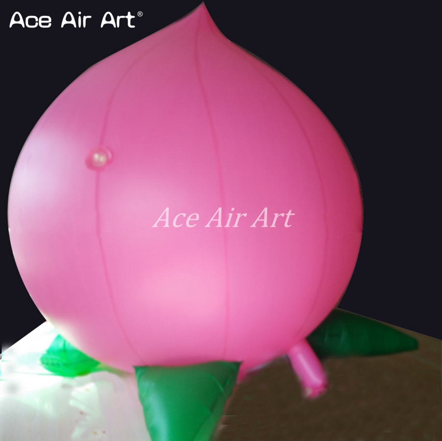 Advertising Giant Inflatable F - Agriculture Farming School 评论和价格
