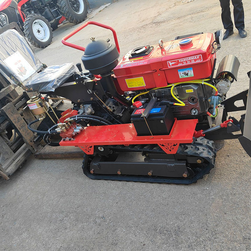 1-Year Warranty Compact Size C - Agriculture Farming Types 评论和价格