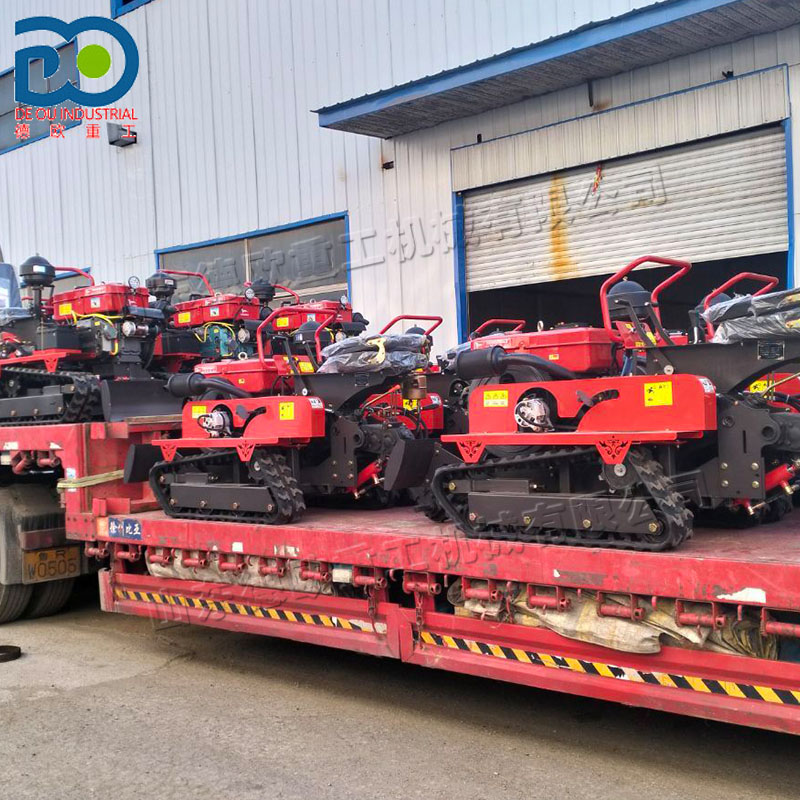 1-Year Warranty Compact Size C - Agriculture Farming Types 评论和价格